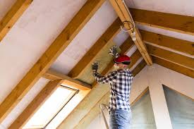 Best Eco-Friendly or Green Insulation Solutions  in Helotes, TX